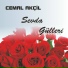 Cemal Akçil