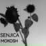 Mokosh