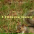 A Paranormal Research