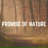 Rain Sounds Nature Collection