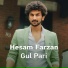 Hesam Farzan