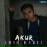 Amir Hariz