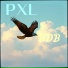 PXL