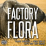 Factory Flora