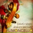 David Selfe, Ashley Brown