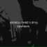 Archelli Findz, EVVI