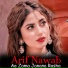 Arif Nawab