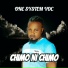 One System Voc