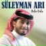 Süleyman Arı