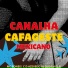 MC Poneis, DJ DANIEL R, C D AZEVEDO DJ