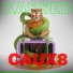 Caux8