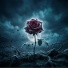 ONEIR