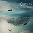 Coetus
