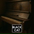 Black Cat