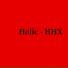 HOLIC