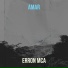 Erron MCA
