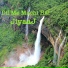 JiyaaJ