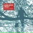 Achim Seifert Project