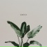 Loop Schrauber, Hans Hu$tle