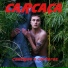 Carcaça