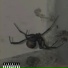 Lil young555, SR S7V3N