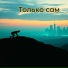 Виктор Костёр