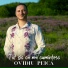 Ovidiu Peica