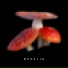 NUXELIA