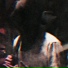 NTNka, creedo, EWERNEL