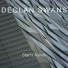 DECLAN SWANS