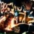 gef7est