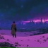 Echovoid