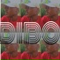 Dj losti-sa feat. Opique deep