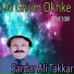 Sardar Ali Takkar