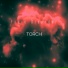 Torch