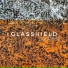 Glasshield