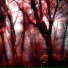 Dying Spring