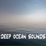 Ocean Sounds