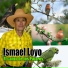 ISMAEL LOYO