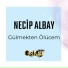 Necip Albay