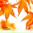 Flower Fall