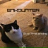 ENKOUNTER