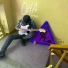 Qainty