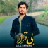 Jalil Parwani