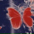 人民幻想公园