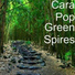 Cara Pop