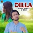 Adeel Abbas Sheikh