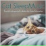 Cat Music Dreams, Cat Music Therapy, RelaxMyCat