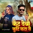 Krishna Bedardi