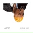 AST R